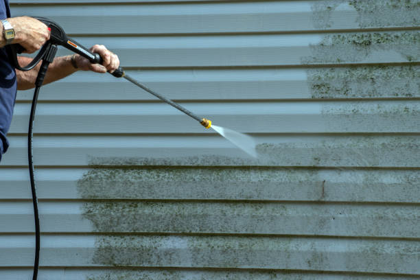 Best Driveway Pressure Washing  in Middlebranch, OH